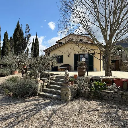 Eleonora Cortona